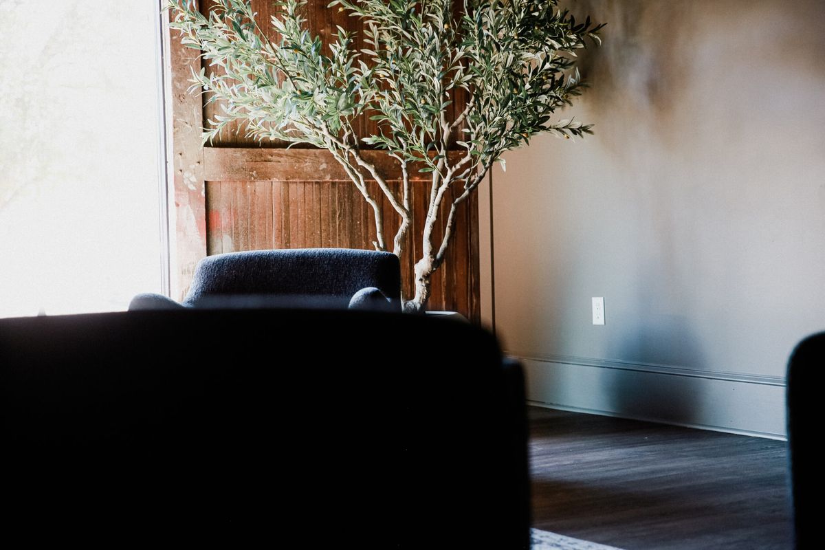 Sitting area with an olive tree by the window